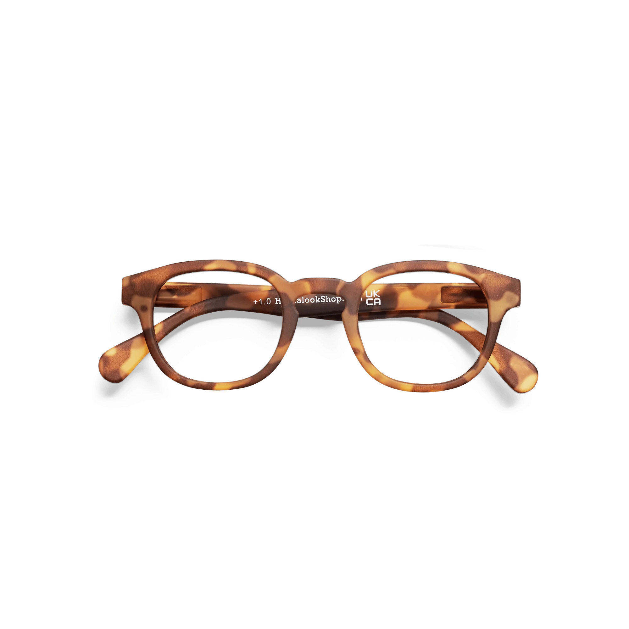 Round tortoiseshell top reading glasses