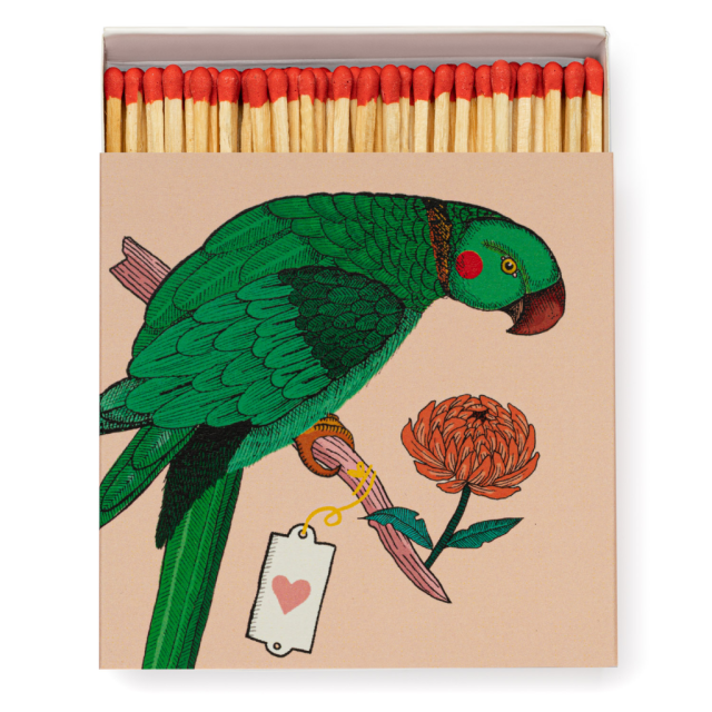Long Matches - Parrot